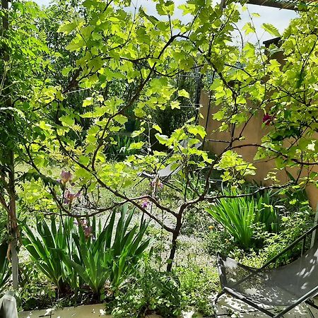 アプトT.Belle Vue Panoramique Au Coeur Du Luberon 40M2 + Pergola . Jardin. Pアパートメント エクステリア 写真