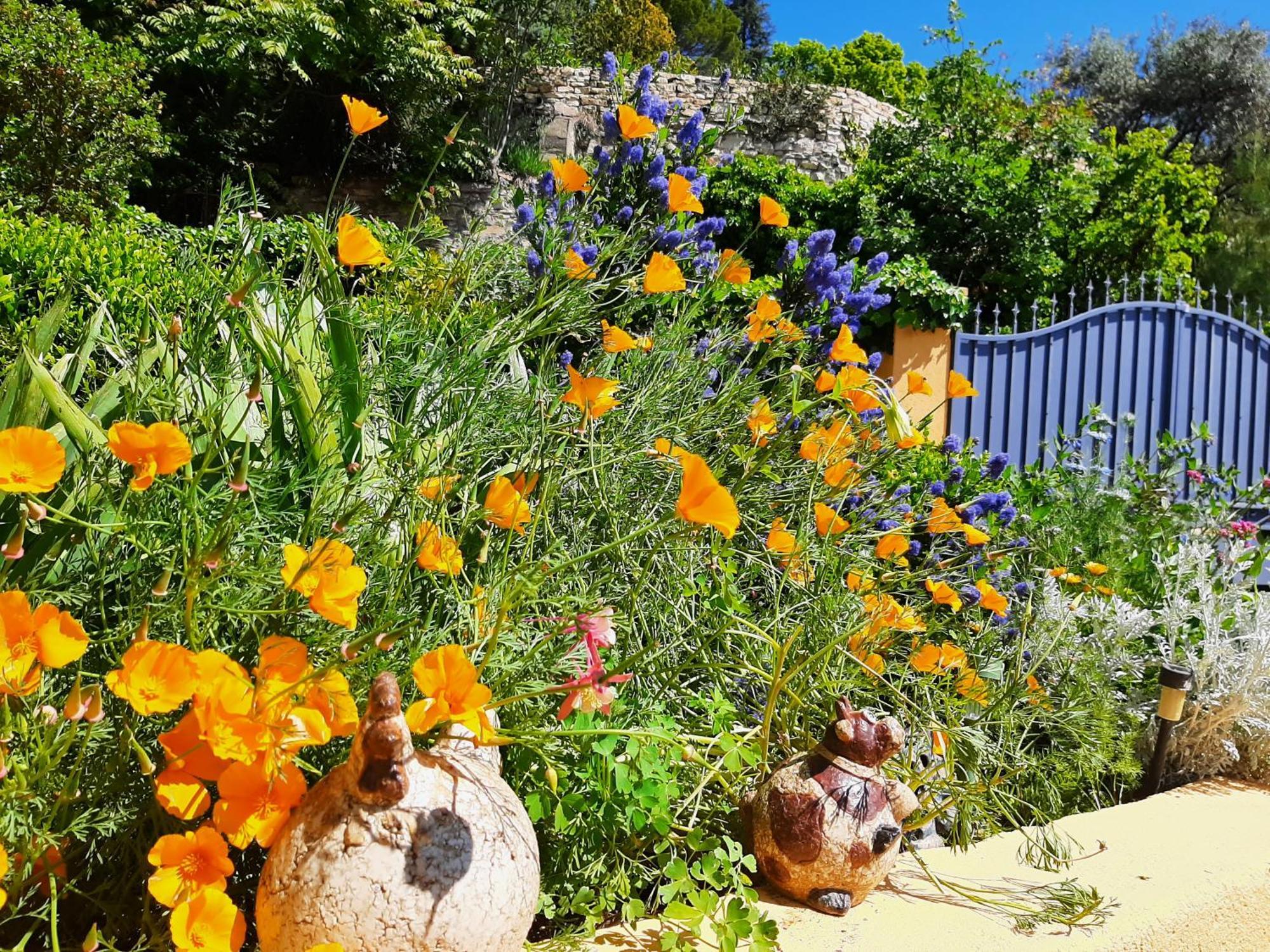 アプトT.Belle Vue Panoramique Au Coeur Du Luberon 40M2 + Pergola . Jardin. Pアパートメント エクステリア 写真